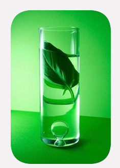 botanocap logo company essential oil natural pesticide photo