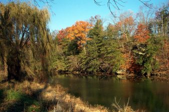 Eco Rabbi: Parshat Vayishlach – Waste Not Want Not