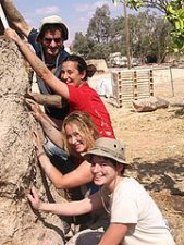 The Kibbutz Movement from Israel Revival