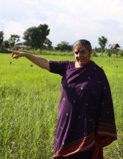 Stolen Harvest by Vandana Shiva