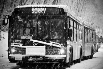 Shai Agassi Goes Canadian, eh, With Better Place in Ontario