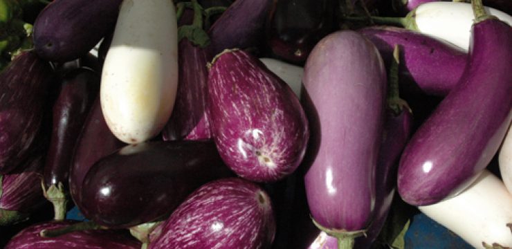 eggplants.jpg