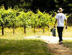 Why Don't Cars Last Forever? Some Tips on Greening Your Ride