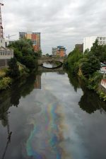 Eco-Rabbi: Parshat Vaera – Plagues, Pharoah and Dissonance