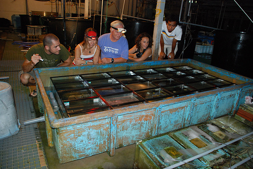 coral-students-loya photo