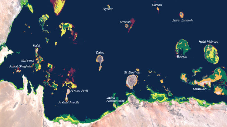 Monitoring Stations Installed in Qatar and UAE To Track Stressed Out Coral
