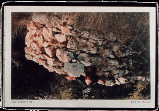 Ecological Artist Shai Zakai