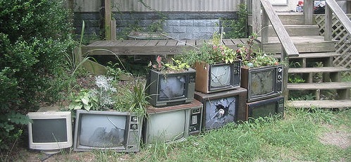 Israel Environment Show Broadcast in Israel