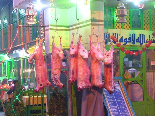 pigs egypt luxor swine-flu