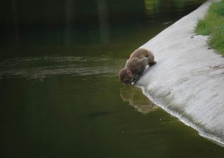 Keeping Baby Hydrated and Safe in Hot Weather