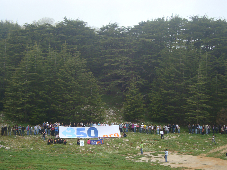 350 Activists Cedars