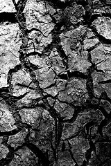 dry rivers caked mud photo