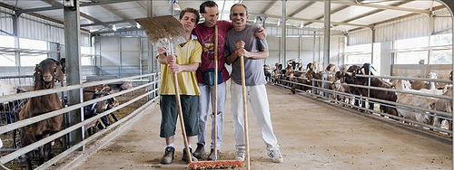 kishorit-goats-organic