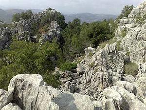 UNESCO Biosphere Reserves Declared in Syria and Lebanon