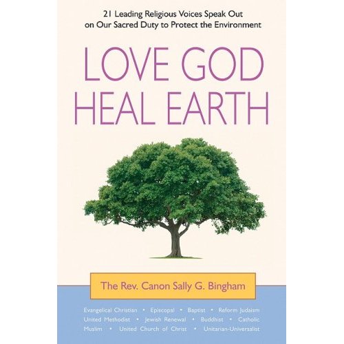 faith environment book cover