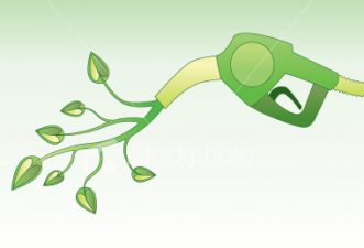 Saudi Sheikh says biofuel not Islamic