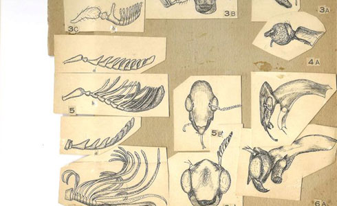 One of the works currently on view at the Farm Gallery