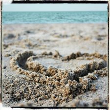 Brown Seaweed Liquid Morphs to Heart-Healing Gel