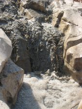 Untreated Wastewater Poses Huge Threat to West Bank Palestinians