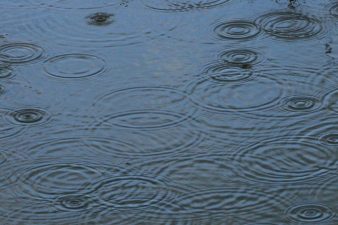 2009 World Water Week Honors Young Turkish and Israeli Innovators