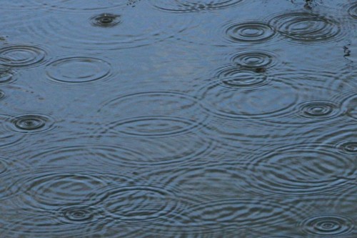 rain water conservation