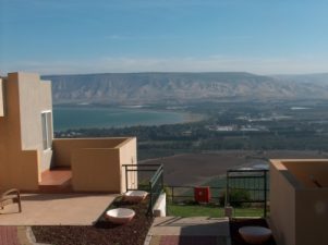 How to clean your body with raw, organic food the Ann Wigmore way