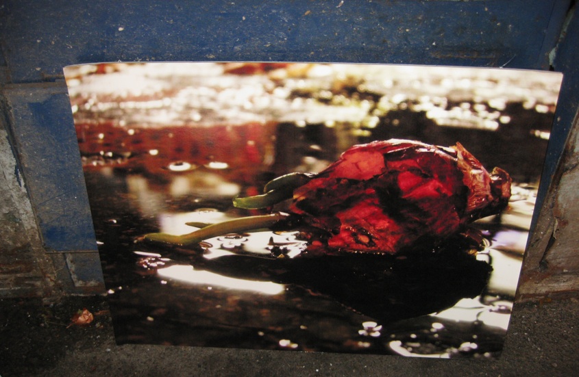 secret-artist-tel-aviv-photo