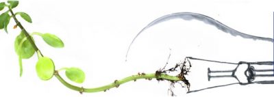 David Anthony – 21Ventures – 4 Trade Secrets for Clean Tech Funding