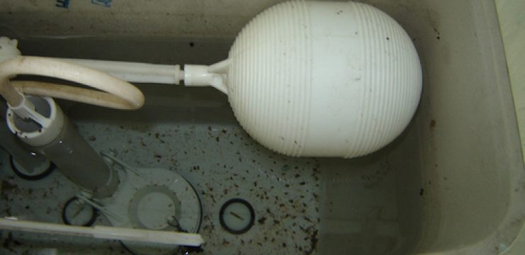 toilet-tank.jpg