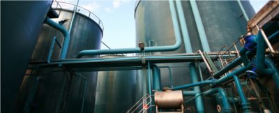 Arrow Ecology Sorts Through Garbage for Gold