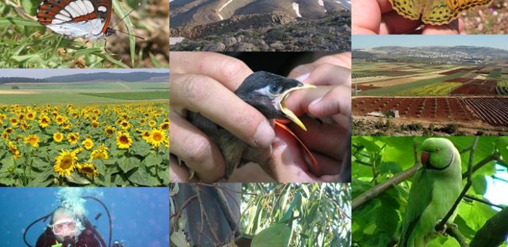 biodiversity-middle-east.jpg