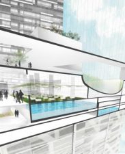 Jennifer C. Daniels Asks if Farming and City Intersect in the Middle East?