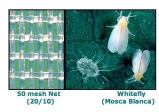 VIDEO: Meteor's Netting Keeps the Bugs from Bugging Your Crops