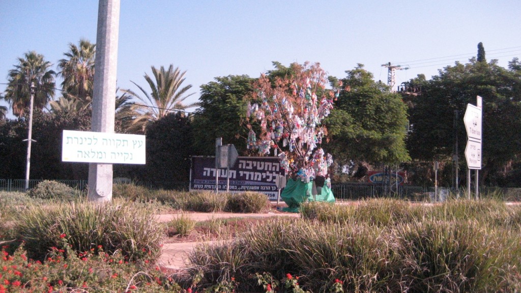 bottle tree israel