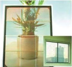 Jordanian Activists Pilot Test Clear Thin Film PV Cells on Mideast Greenhouses