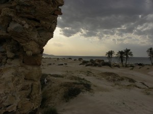 Tunisia Says Do Your Part in Battle Against Climate Change