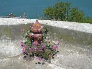 Miya Water Makes $30 Million Investment in Brazil Firm To Cut Water Loss In Cities