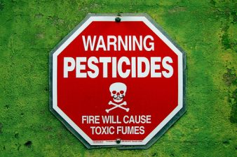 Parkinson’s in Arab Communities Linked to Pesticides