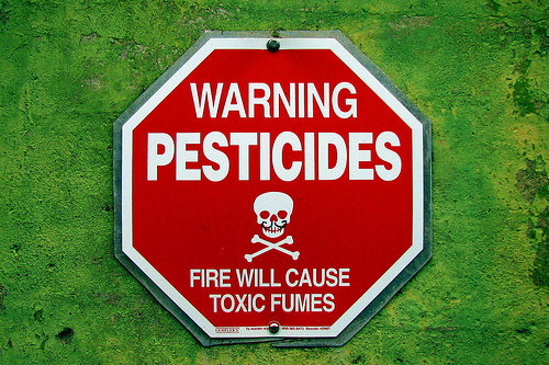 Parkinson’s in Arab Communities Linked to Pesticides