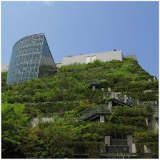 Living building in Jerusalem grows with the seasons