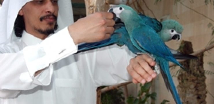 animal-conservation-qatar.jpg