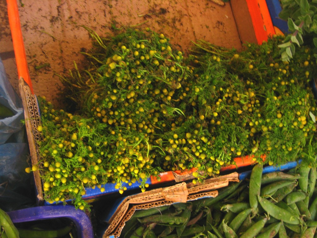 wild chamomile in a crate