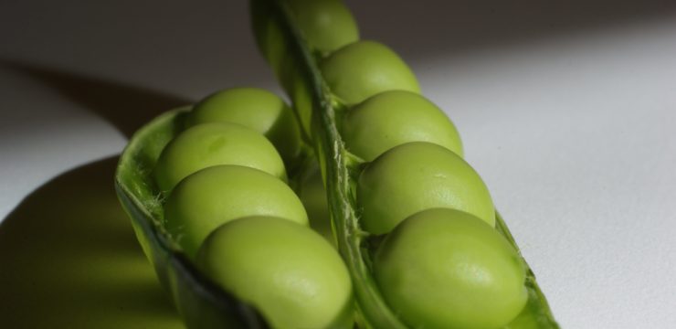pea-pod-solar-energy.jpg