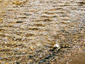 Reflecting on Israel's Water Usage and Reviewing Water Saving Tips Before International Water Day