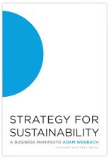Book Review: Strategy for Sustainability by Adam Werbach  – A Primer for Third Wing Environmentalism or a Harbinger of the Black Swan?