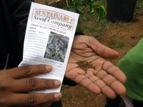 muslim community garden