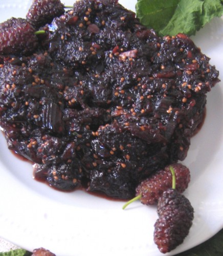 mulberry chutney and fresh mulberries