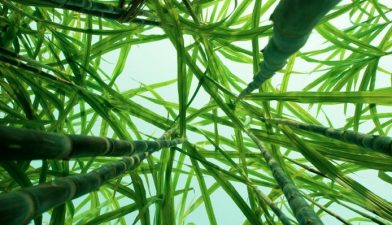 10 Israeli Clean Tech Companies Head to California 10 Israeli Clean Tech Companies Head to California