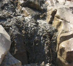 Israel Defense Ministry Stalls on Sewage Treatment