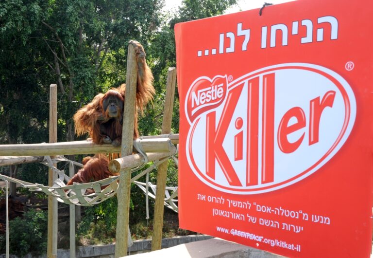 Greenpeace Mediterranean Demands that Nestle-Osem Give the Orangutans and Rainforests a Break